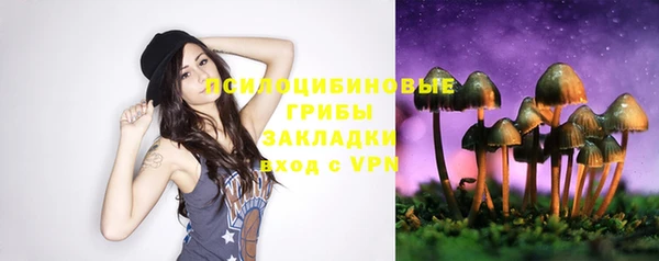 СК Алексеевка