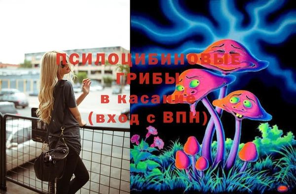 Альфа ПВП Алексин