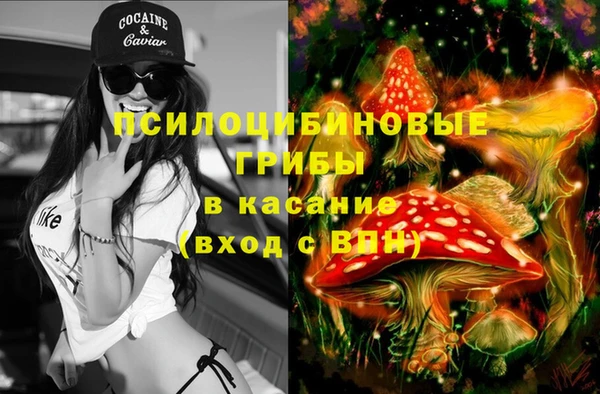 СК Алексеевка