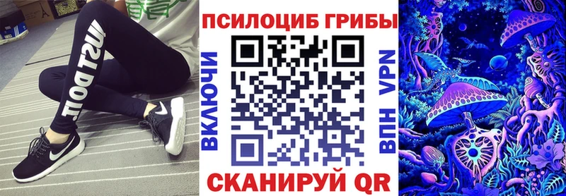 мориарти формула  Андреаполь  Галлюциногенные грибы Psilocybe 